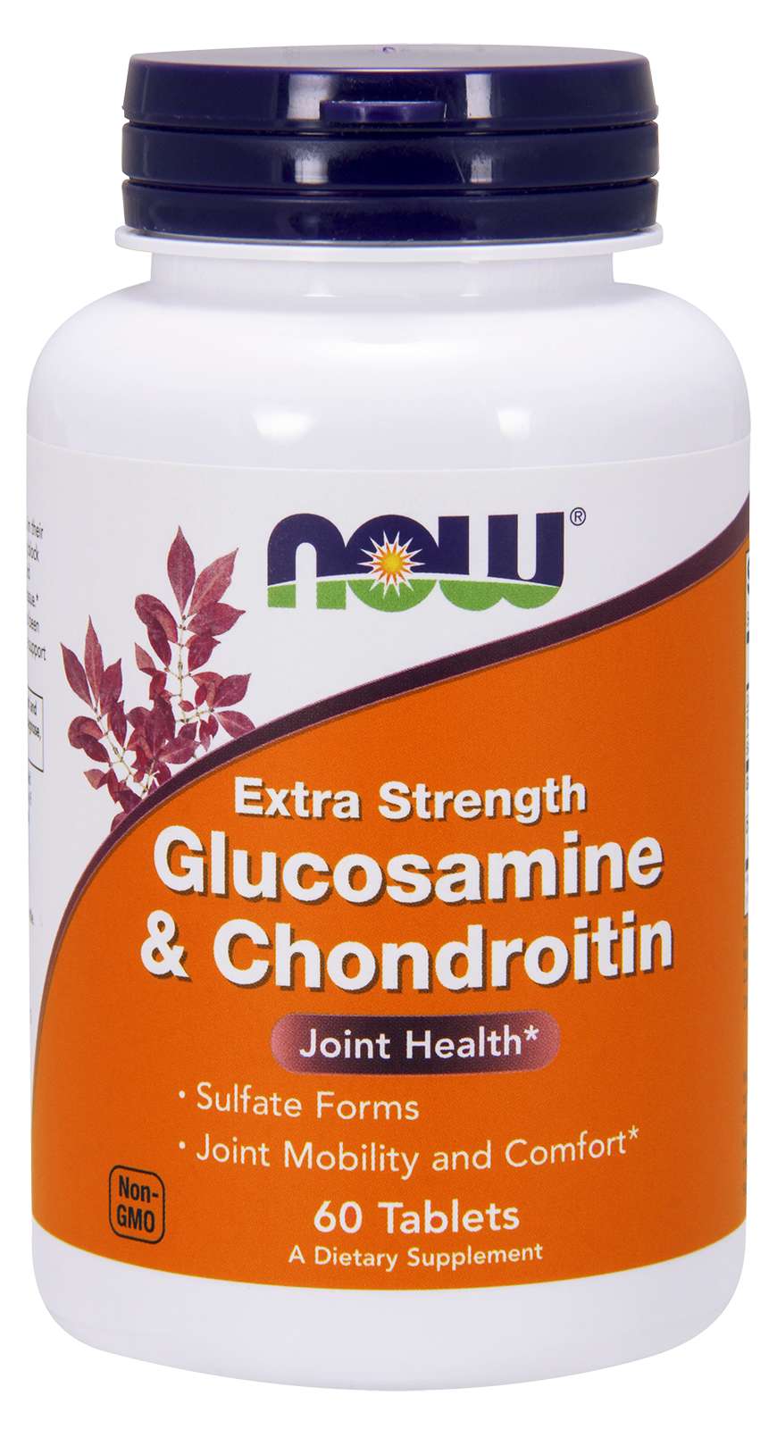 Glucosamine & Chondroitin
